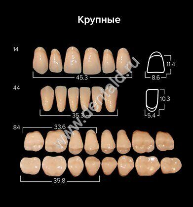 Зубы 2-х слойные АНИС в боксах крупные