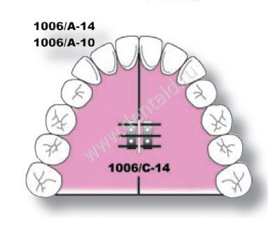 LW1006_c