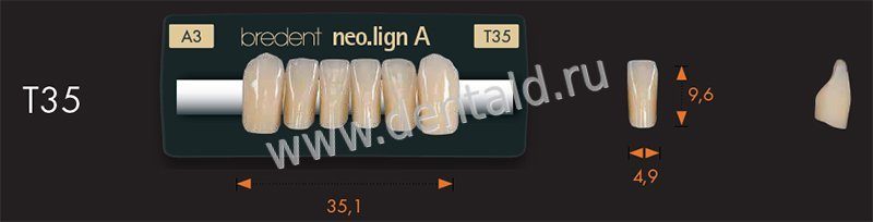 neo.lign® Цельные фронтальные зубы «нео.лайн» на нижнюю челюсть